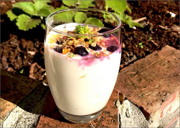 Blueberry Milkshake